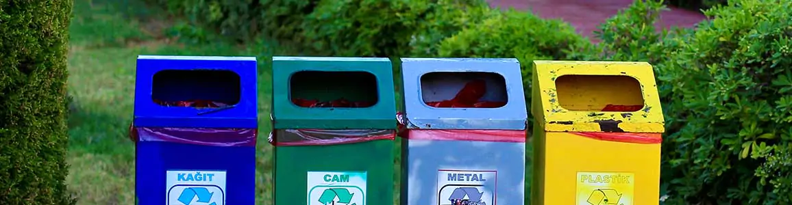 Bacharelado em Gestão Ambiental